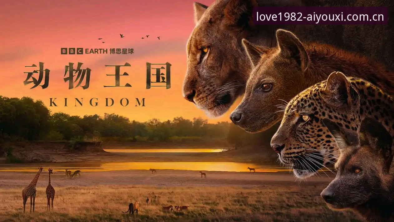 爱游戏平台看索斯盖特纪录片操作教程：从新闻热点到深层解读
